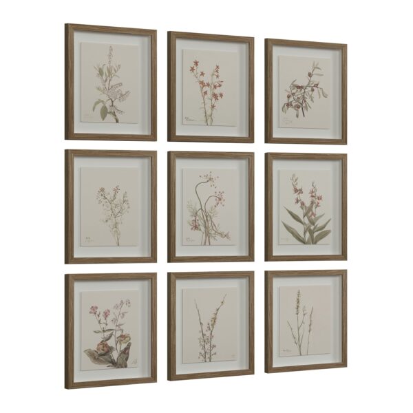 Renwil Crema Framed Art Print — Set of 9 — product view 2 — PA0043