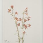 Renwil Crema Framed Art Print — Set of 9 — product view 3 — PA0043