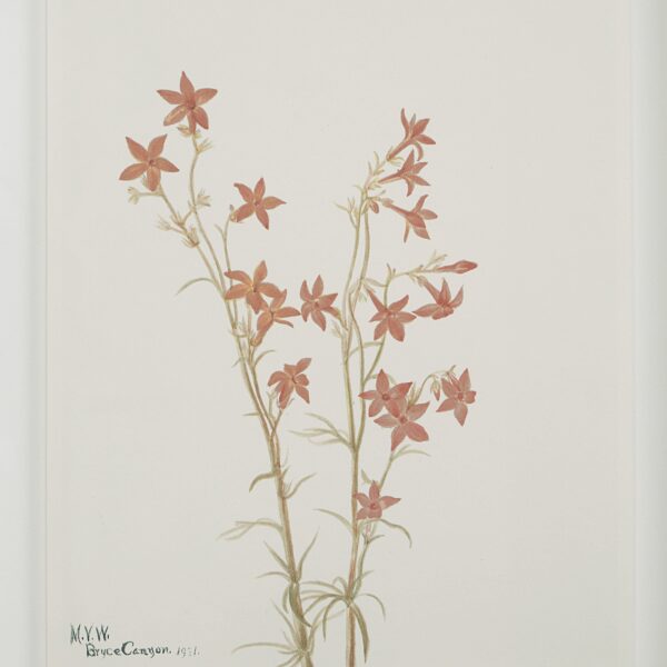 Renwil Crema Framed Art Print — Set of 9 — product view 3 — PA0043