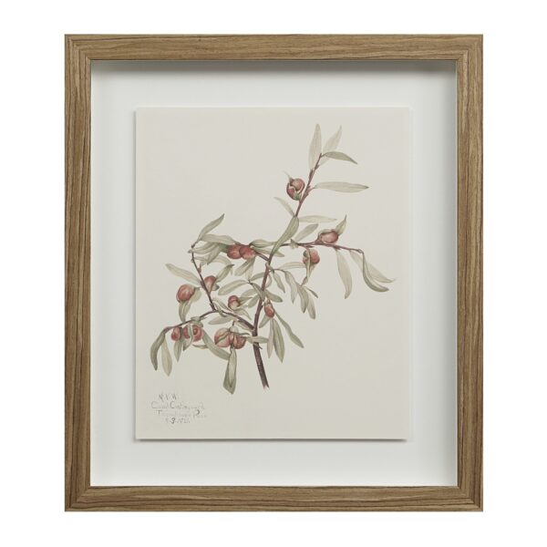 Renwil Crema Framed Art Print — Set of 9 — product view 5 — PA0043