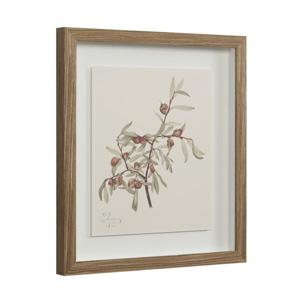 Renwil Crema Framed Art Print — Set of 9 — product view 6 — PA0043