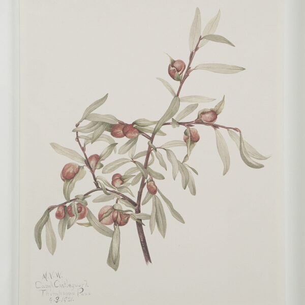 Renwil Crema Framed Art Print — Set of 9 — product view 9 — PA0043