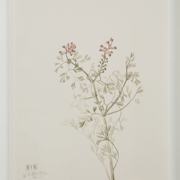 Renwil Crema Framed Art Print — Set of 9 — product view 13 — PA0043