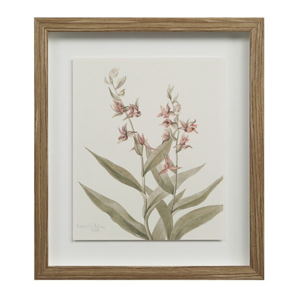 Renwil Crema Framed Art Print — Set of 9 — product view 19 — PA0043