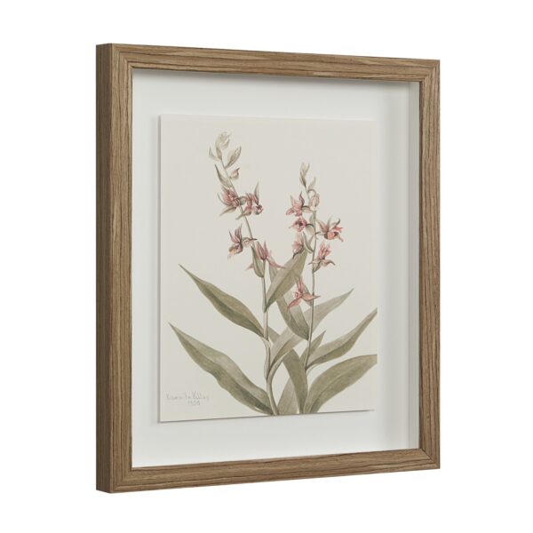 Renwil Crema Framed Art Print — Set of 9 — product view 20 — PA0043