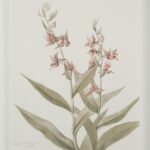 Renwil Crema Framed Art Print — Set of 9 — product view 22 — PA0043