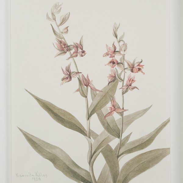 Renwil Crema Framed Art Print — Set of 9 — product view 22 — PA0043