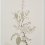 Renwil Crema Framed Art Print — Set of 9 — product view 26 — PA0043