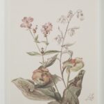 Renwil Crema Framed Art Print — Set of 9 — product view 27 — PA0043