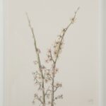 Renwil Crema Framed Art Print — Set of 9 — product view 31 — PA0043