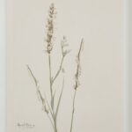 Renwil Crema Framed Art Print — Set of 9 — product view 35 — PA0043
