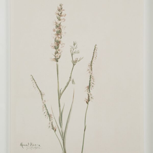 Renwil Crema Framed Art Print — Set of 9 — product view 35 — PA0043