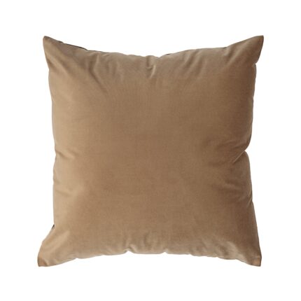 Renwil Alchemilla Tan Poly-Velvet Pillow 20 x 20 PWFL1458 - front view of tan poly-velvet pillow