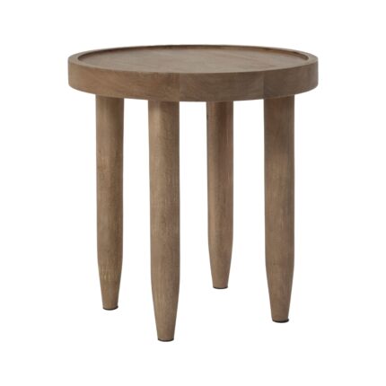 Renwil Cicoria TA537 accent table — product view 1