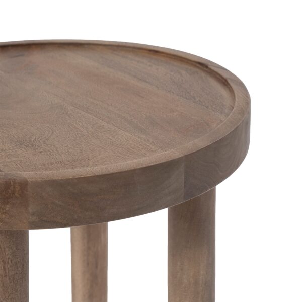 Renwil Cicoria TA537 accent table — product view 3