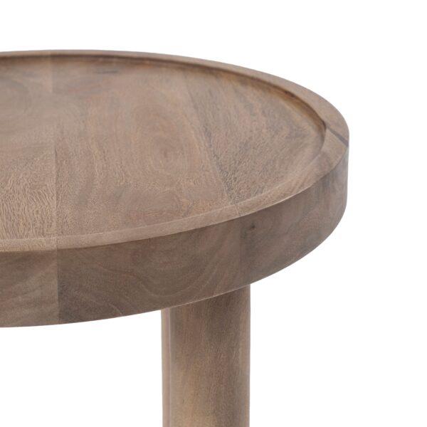 Renwil Cicoria TA537 accent table — product view 5