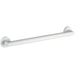 ICO Bath 30″ Summit Grab Bar