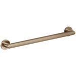 ICO Bath 30″ Summit Grab Bar